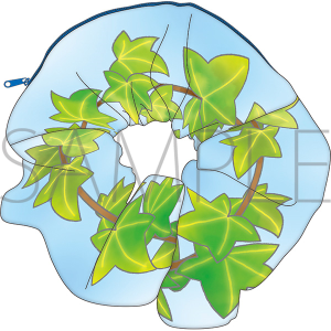 wuo[YbhW@ʔ́@̃ACr[VV|[`