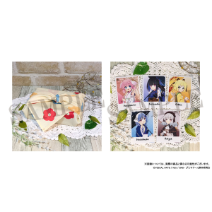 �v���}�h�[���@�`���R�C���N�b�L�[���蕗�C�~