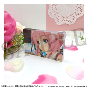 �v���}�h�[���@�A�N�����v���[�g�X�^���h�@�D��