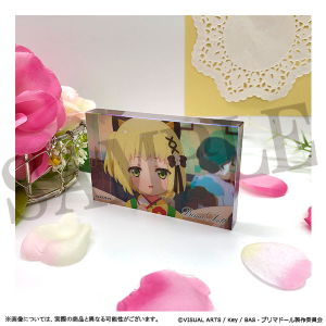 �v���}�h�[���@�A�N�����v���[�g�X�^���h�@����