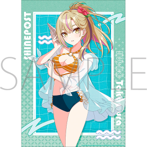 �V���C���|�X�g�@�N���A�|�X�^�[�^� ���G 1st Anniversary