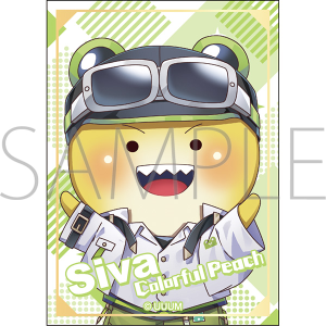 �J���t���s�[�`�@�X�e�b�J�[�^�V���@