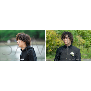 �h���}�u�ǃT�[���l��Ƃ̔L���~����͏��F�~���������点�Ă���v�@�u���}�C�h2���Z�b�g�@�L���~�� �i�����L��j