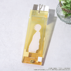 �A�I�̃n�R�@�J�X�^���A�N�����L�[�z���_�[�^���� ���