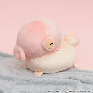 ���킢���L�����@�ʂ�����݁@���������y�󒍐��Y���i�z