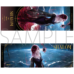 �������r�@�z���O�����`�P�b�g�^�V�����[��