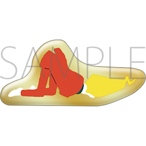 ゴースト トリック ピンズ シセル