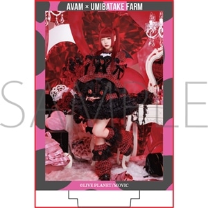 �C���q��R���{ �A�N�����p�l���X�^���h�y�匴���t�z
