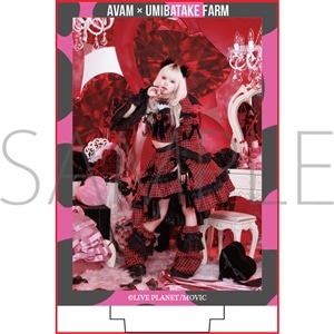 �C���q��R���{ �A�N�����p�l���X�^���h�y���[�T���z