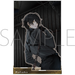 �p�s�s�@�A�N�����W�I���}�@��y�󒍐��Y���i�z�y�A�j���C�g�ʔ́E���[�r�b�N�ʔ̌���z