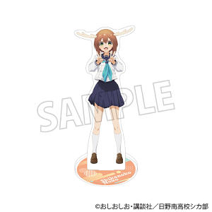 ̂̂̂񂽂@ANX^h^Tq ̂