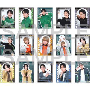 Ƃ߂e@g[fBONAJ[hiS15j