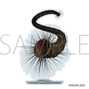 ⎸@\@⎸ANX^h^⎸345