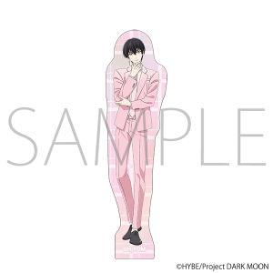 DARK MOON -���̌�: ���̍Ւd-�@�z���X�e�b�J�[�^�w��