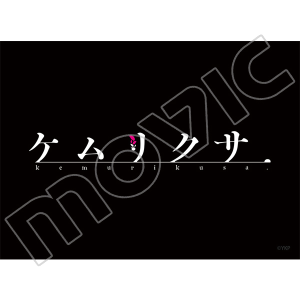 X[uRNV }bgV[Y@PNT S(No.MT636)