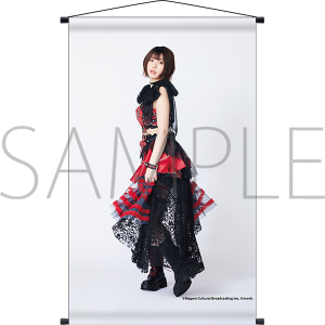 えなこ アクリルスタンド タペストリー まとめ売り えなこ アクリルスタンド タペストリー まとめ売り 2025年最新