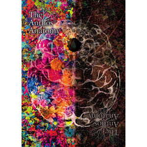 �y�������l�Z�b�g�z�yDVD�z��Doll* The Anthos* Anatomy