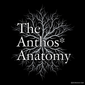 �yDVD�z��Doll* The Anthos* Anatomy